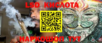 шишки Лесосибирск