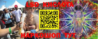 шишки Лесосибирск