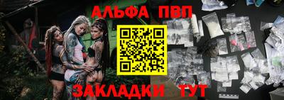 шишки Лесосибирск