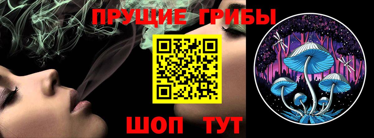 Галлюциногенные грибы Magic Shrooms Вышний Волочёк