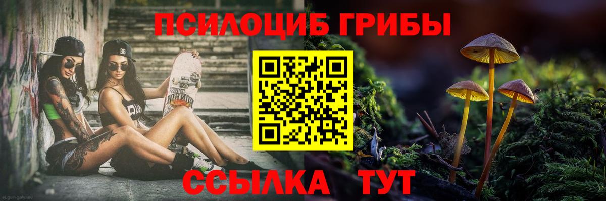 Вышний Волочёк  Псилоцибиновые грибы мицелий  Вход с VPN 